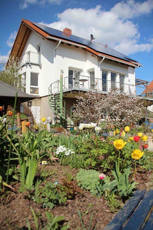 Ferienwohnung Dr. Vera Schmidt Kreischa Zewnętrze zdjęcie